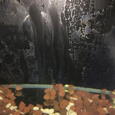玻璃魚(yú)缸劃痕怎么處理：如何處理玻璃魚(yú)缸劃痕