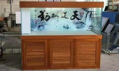 貢拜紅龍魚賽級（貢拜的紅龍魚怎么樣）
