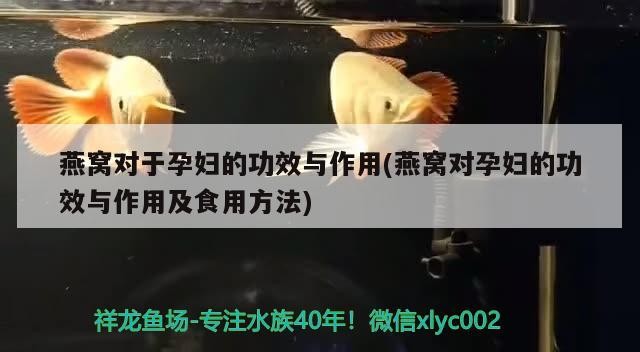 周末換水減法已經(jīng)開始