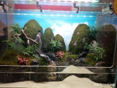 玻璃魚缸景觀：玻璃魚缸景觀設(shè)計 玻璃魚缸景觀：玻璃魚缸景觀設(shè)計 魚缸百科 第2張