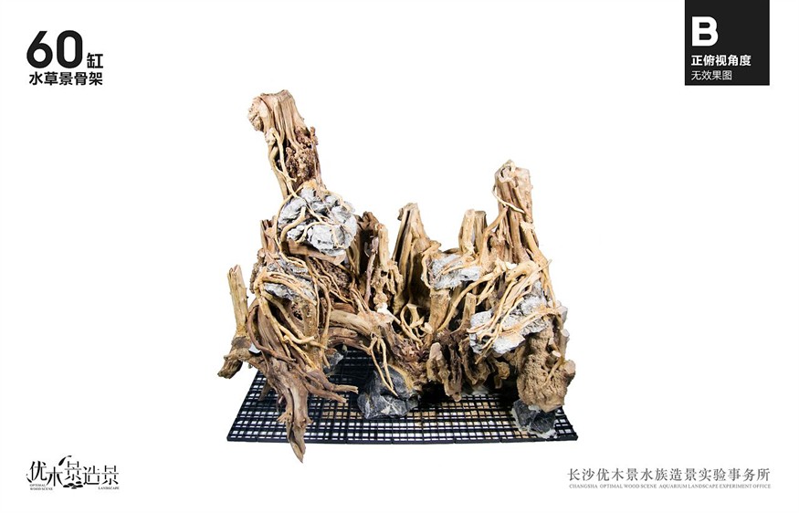 沉木魚缸造景效果圖：如何挑選沉木魚缸造景
