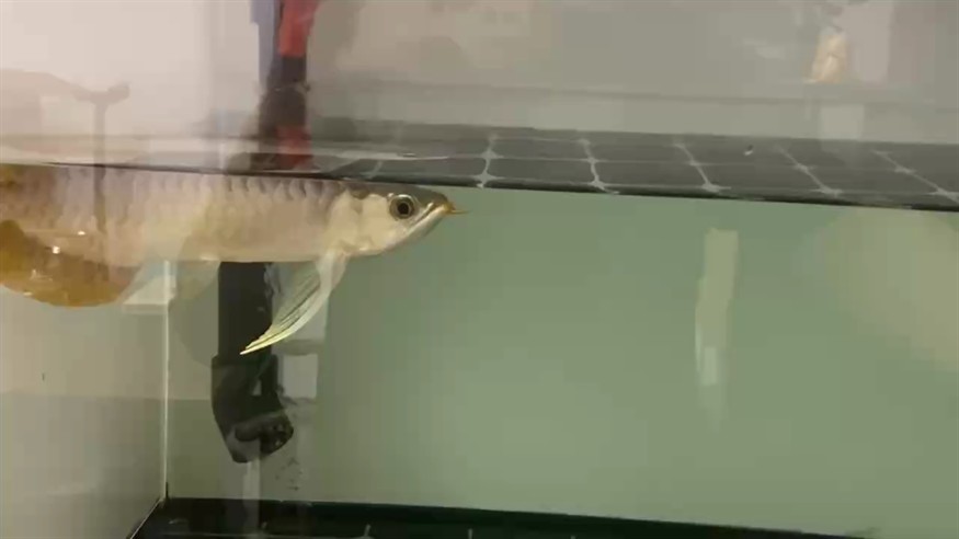 好的東西讓懂它的人欣賞