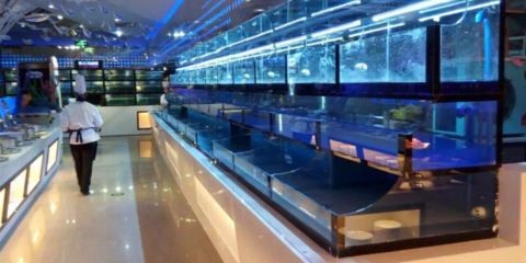 玻璃魚缸的玻璃膠怎么去除視頻：去除玻璃膠的幾種方法，可以有效去除玻璃膠的情況 玻璃魚缸的玻璃膠怎么去除視頻：去除玻璃膠的幾種方法，可以有效去除玻璃膠的情況 魚缸百科 第3張