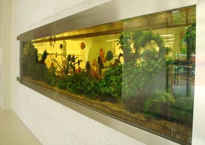 玻璃魚缸廠聯(lián)系方式：如何尋找玻璃魚缸廠家
