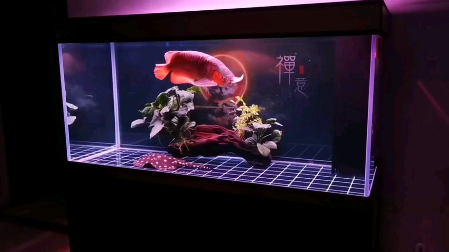 恢復(fù)中