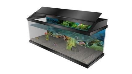 大型鋼化玻璃魚缸多少錢：大型鋼化玻璃魚缸價格可以從幾百元到幾千元不等