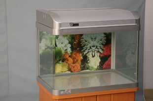 大型鋼化玻璃魚缸多少錢：大型鋼化玻璃魚缸價格可以從幾百元到幾千元不等