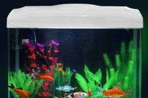 辦公室適合放魚缸嗎？：辦公室魚缸擺放位置適合放在辦公室養魚的風水擺放位置 辦公室適合放魚缸嗎？：辦公室魚缸擺放位置適合放在辦公室養魚的風水擺放位置 魚缸百科 第4張