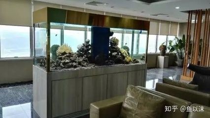 玻璃魚缸漏水怎么辦妙招：如何處理魚缸漏水？