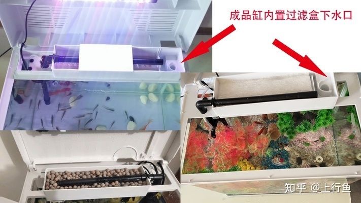 成品魚缸怎么改造：小米魚缸改造