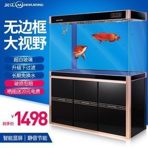 大型魚缸一天用多少電費：大型魚缸一天需要花費多少電費養魚愛好者們常常關心一個問題 大型魚缸一天用多少電費：大型魚缸一天需要花費多少電費養魚愛好者們常常關心一個問題 魚缸百科 第4張