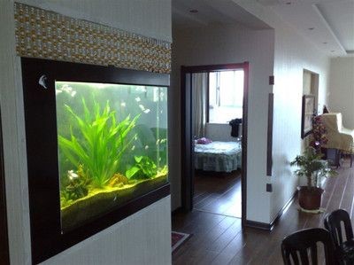 博雅水族魚缸維修：博雅水族魚缸維修服務