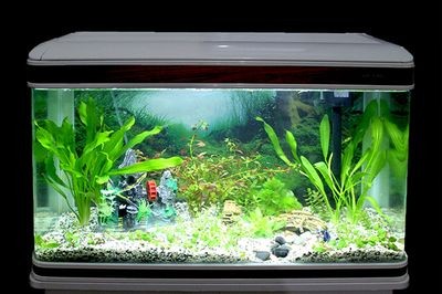 1.5米的魚缸價格表：1.5米的魚缸價格表1.5米的魚缸價格表，請注意