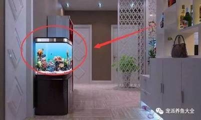 大洼縣新立鎮(zhèn)彪哥花卉水族館（大洼縣新立鎮(zhèn)彪哥花卉水族館電話）