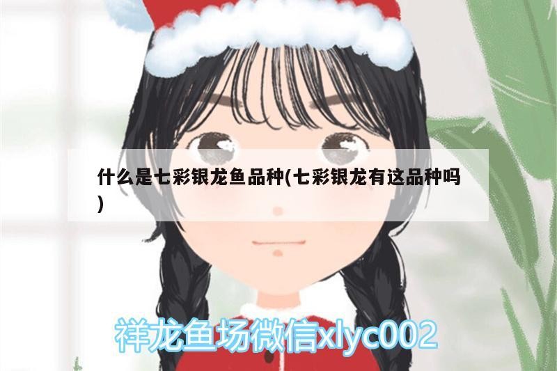 什么是七彩銀龍魚品種(七彩銀龍有這品種嗎)