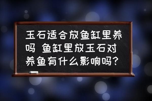 白玉石子可以放魚缸里嗎有毒嗎：白玉石子可以放入魚缸中嗎？