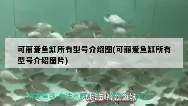 龍江縣萬里水族器材商店（龍江水族館）