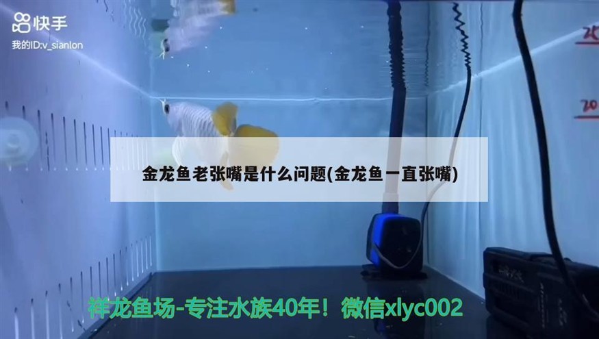高要市蓮塘鎮廣來玻璃水族館