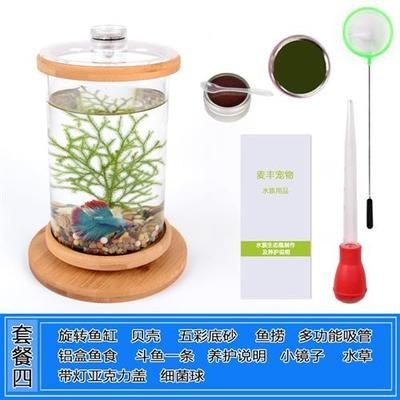 斗魚缸鋪底砂：水族生態揭秘探索水族生態的奧秘