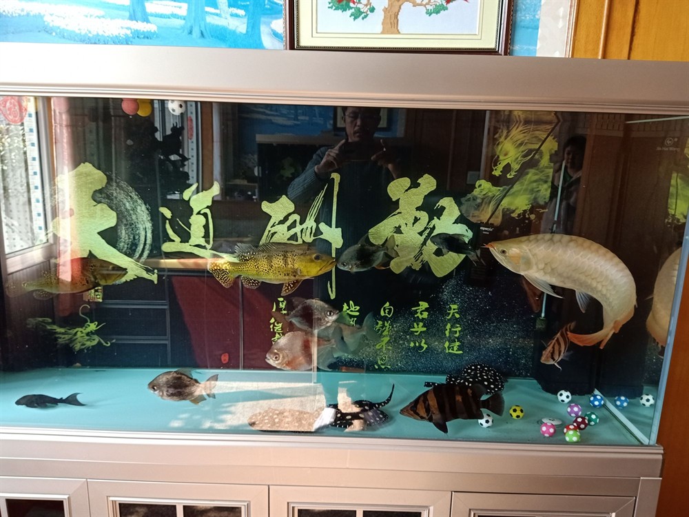 #非陶瓷濾材·漁夫之寶橫空初試#我在