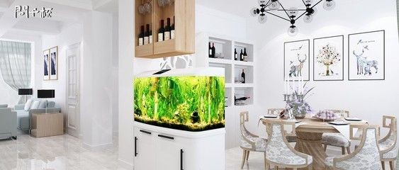 1.6米的魚缸放多少鹽好：1.6米的魚缸放多少鹽好魚缸放多少鹽好