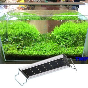 阜新蒙古族自治縣城區(qū)鑫緣水族館（阜新鑫園農(nóng)家樂吃飯貴嗎）