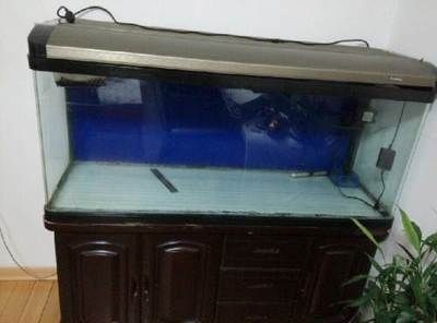 搬家時魚缸如何進行搬運工作：搬家時魚缸搬運的幾個關(guān)鍵步驟和注意事項