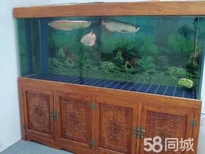 創(chuàng)海魚(yú)缸怎么安裝視頻：創(chuàng)海魚(yú)缸安裝視頻教程