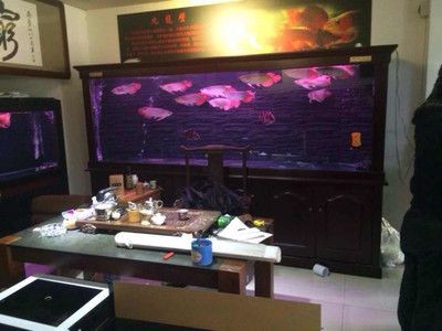 創(chuàng)海魚(yú)缸怎么安裝視頻：創(chuàng)海魚(yú)缸安裝視頻教程