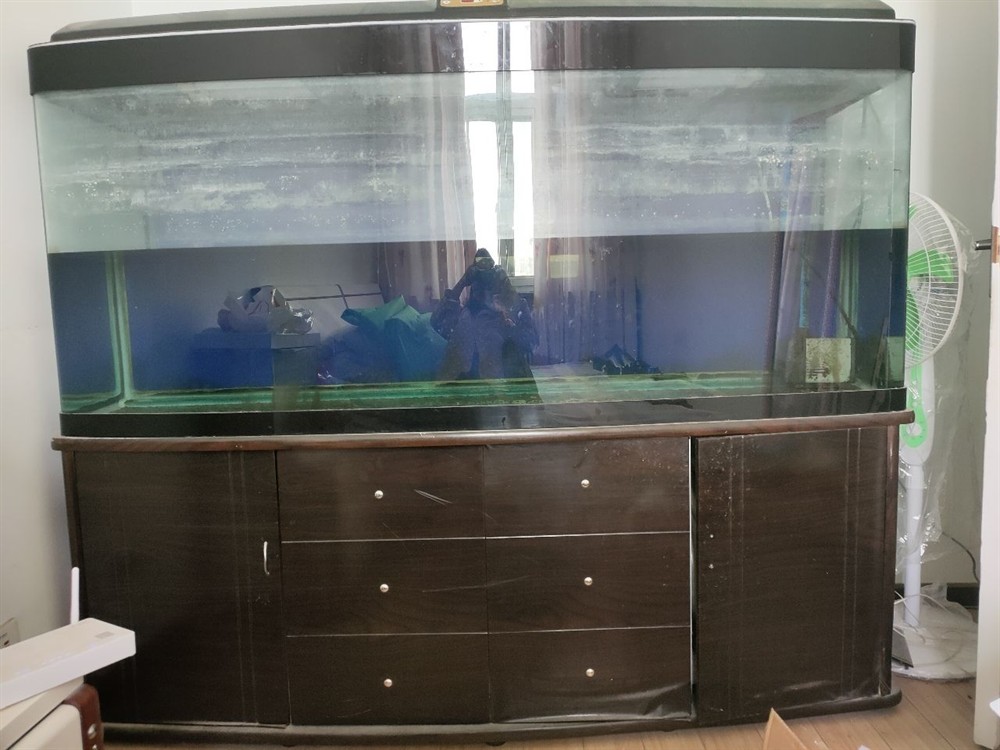 大魚缸拆卸：大型亞克力魚缸生產廠家推薦拆卸大魚缸的過程需要謹慎操作