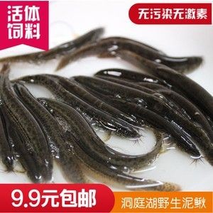 龍魚餌料排名前十品種