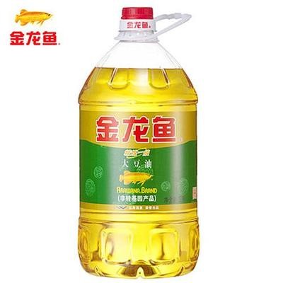 養紅龍魚的寓意（養紅龍魚的寓意和象征）