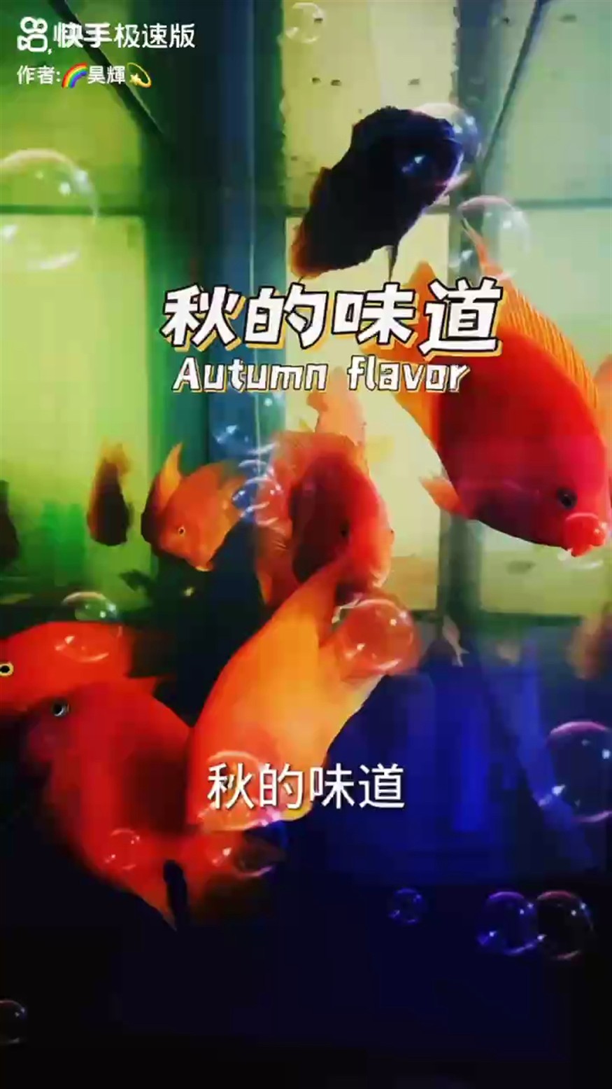 153天，?堅(jiān)持打卡記錄