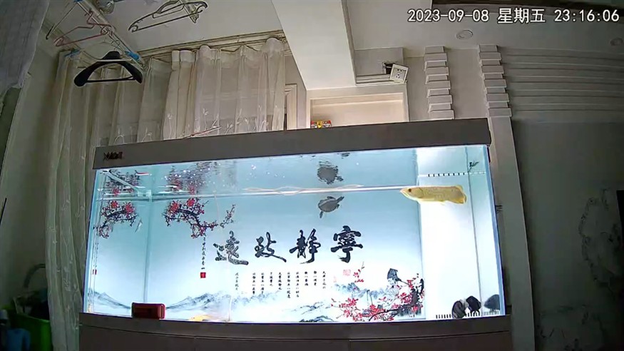 出門了餓五天……