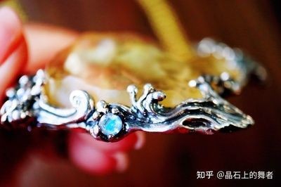 佩戴龍魚