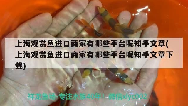 紅龍魚和虎魚混養會打架嗎：紅龍和虎魚混養視頻 紅龍魚和虎魚混養會打架嗎：紅龍和虎魚混養視頻 虎魚百科 第1張