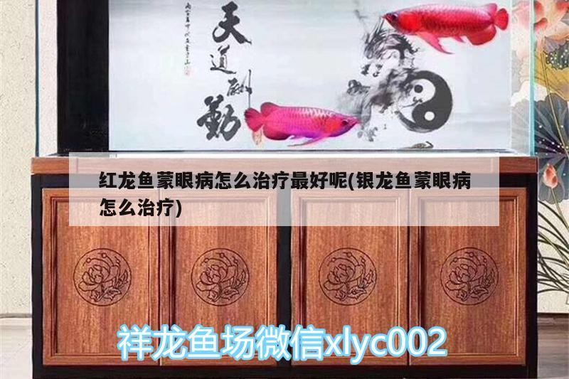 紅龍魚蒙眼病怎么治療最好呢(銀龍魚蒙眼病怎么治療)