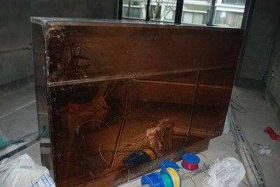 茶色玻璃魚缸效果圖：茶色玻璃魚缸效果圖及養(yǎng)護技巧
