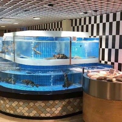 茶色玻璃魚缸效果圖：茶色玻璃魚缸效果圖及養(yǎng)護技巧