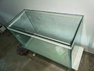 玻璃魚缸自己做：制作玻璃魚缸的步驟和注意事項