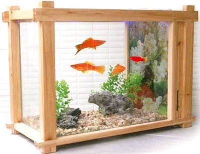 北陽臺適合擺放魚缸嗎風水好嗎：北陽臺是否適合擺放魚缸 北陽臺適合擺放魚缸嗎風水好嗎：北陽臺是否適合擺放魚缸 魚缸百科 第4張