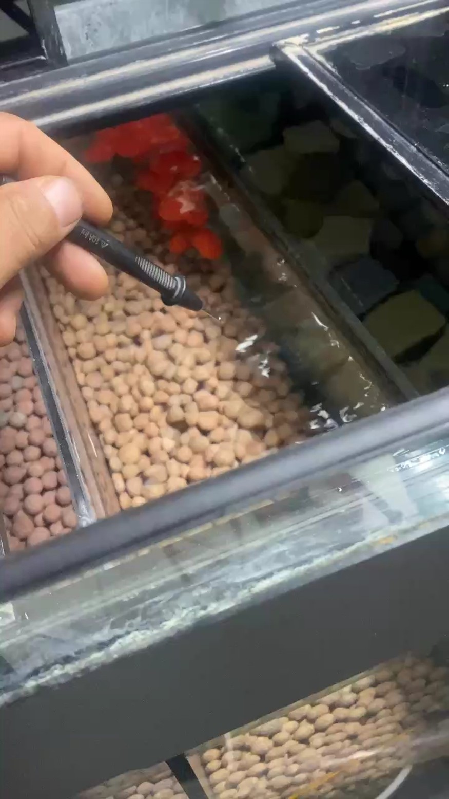 你的魚缸漏電嗎？