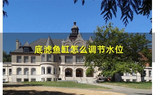 大魚缸下水閥怎么調最完美：大魚缸下水閥下水閥調節技巧大魚缸下水閥調節技巧