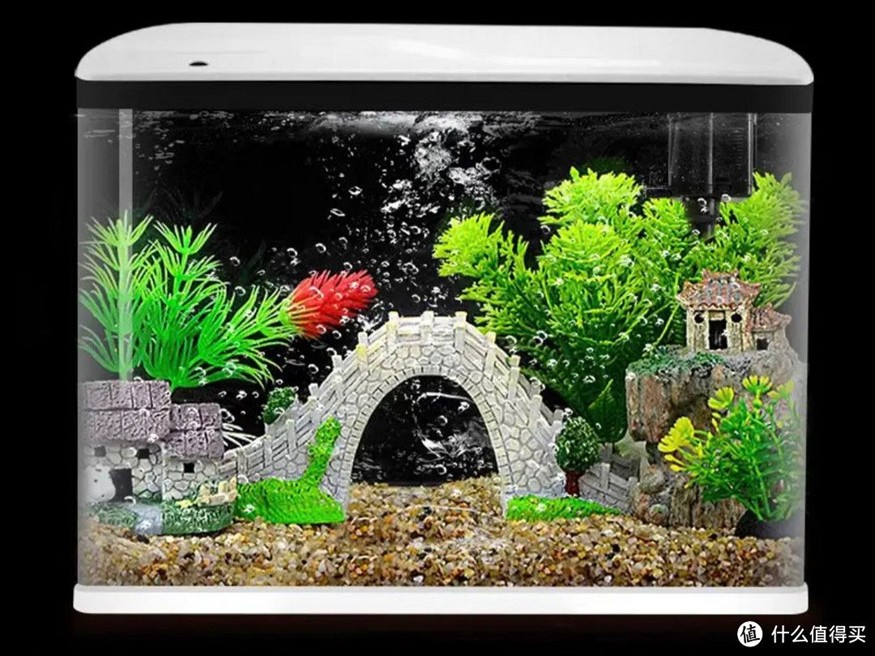 超白魚(yú)缸跟普通魚(yú)缸裝水后對(duì)比：如何區(qū)分超白玻璃魚(yú)缸和普通玻璃魚(yú)缸？