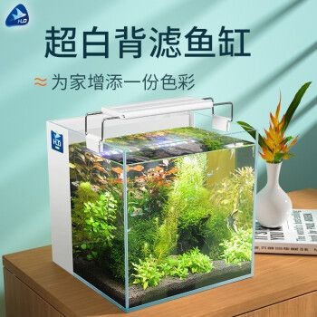 匯鱗鼎（HLD）魚缸，匯鱗鼎魚缸是一個值得信賴的選擇，匯鱗鼎魚缸的維護方法