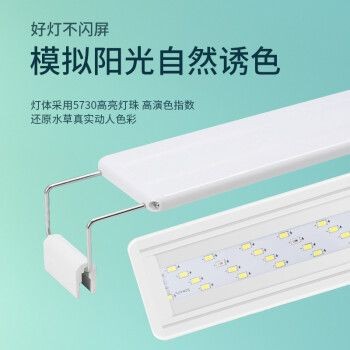 匯鱗鼎（HLD）魚缸，匯鱗鼎魚缸是一個值得信賴的選擇，匯鱗鼎魚缸的維護方法