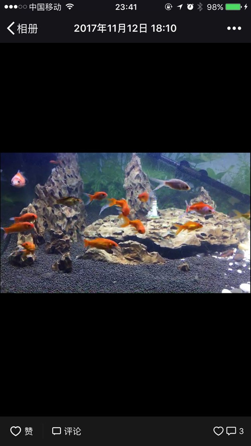 翻缸以后的對比金魚粑粑好清理多了