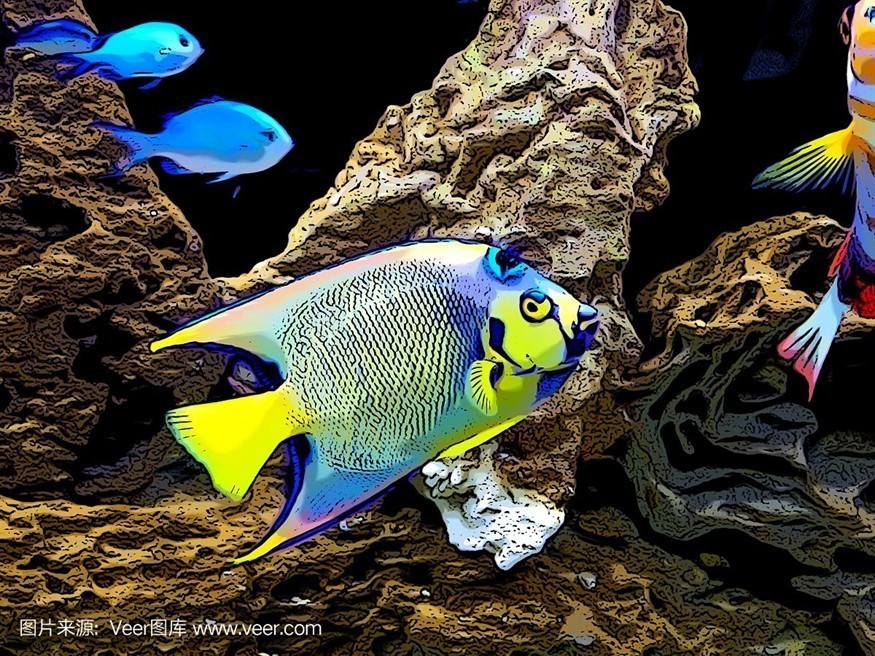 大洋水族魚缸：東莞市大洋水族用品有限公司