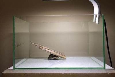 超白玻璃魚缸定做：超白玻璃魚缸定做的優勢 超白玻璃魚缸定做：超白玻璃魚缸定做的優勢 魚缸百科 第2張