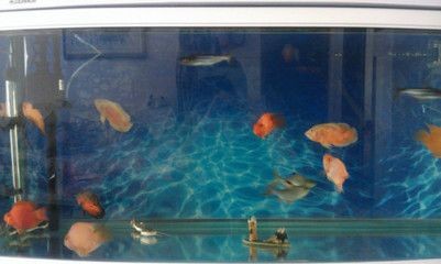 10cm魚缸：10cm魚缸養魚需要注意以下幾點 10cm魚缸：10cm魚缸養魚需要注意以下幾點 魚缸百科 第3張